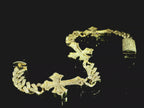 Cross Bracelet