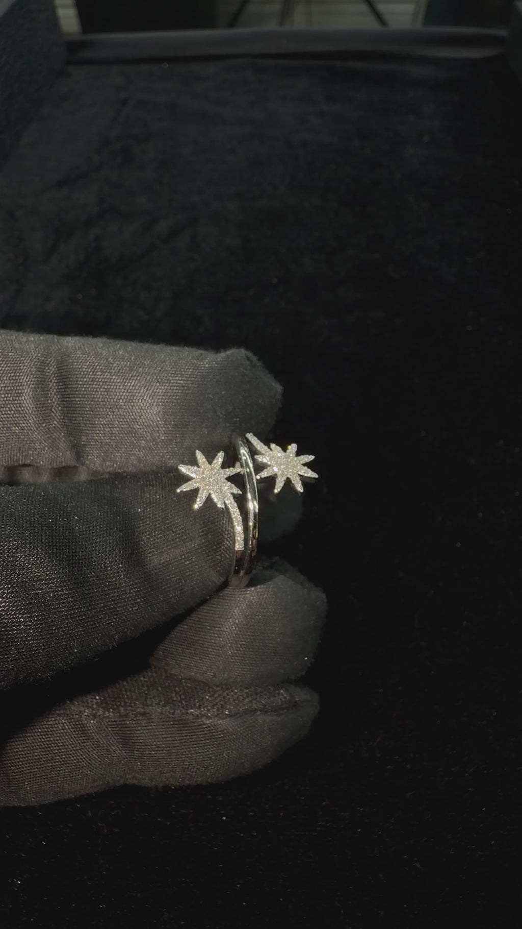 Double Star Ring